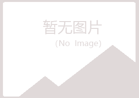 河北山柳出版有限公司